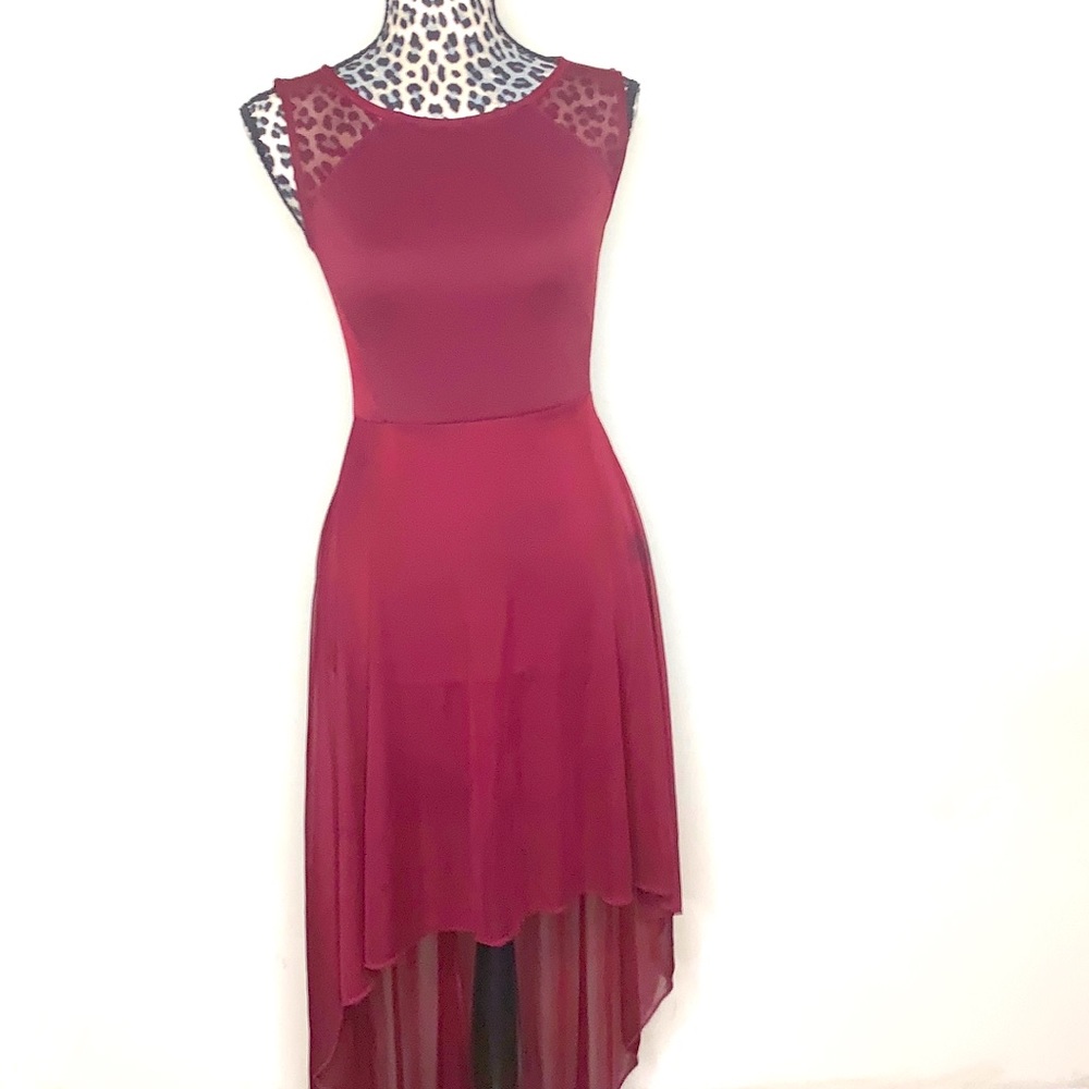Sheer Burgundy Dress